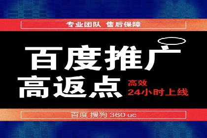 百度SEO推广：从零到一的成长案例